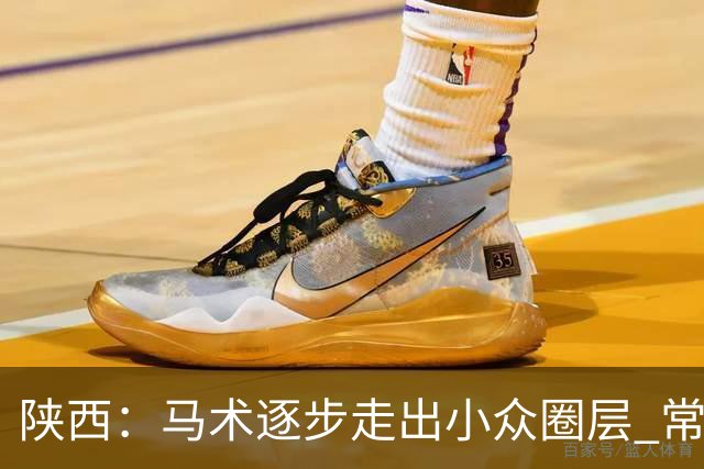 陕西：马术逐步走出小众圈层 常年参训人数达数千人